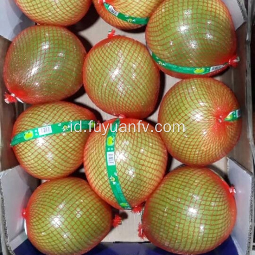 Selera yang bagus dan kualitas buah pomelo yang manis